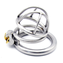 Load image into Gallery viewer, Ring of Shame Cock Cage