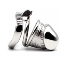 Load image into Gallery viewer, Silverskin Cock Cage