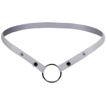 Secure Chastity Belt